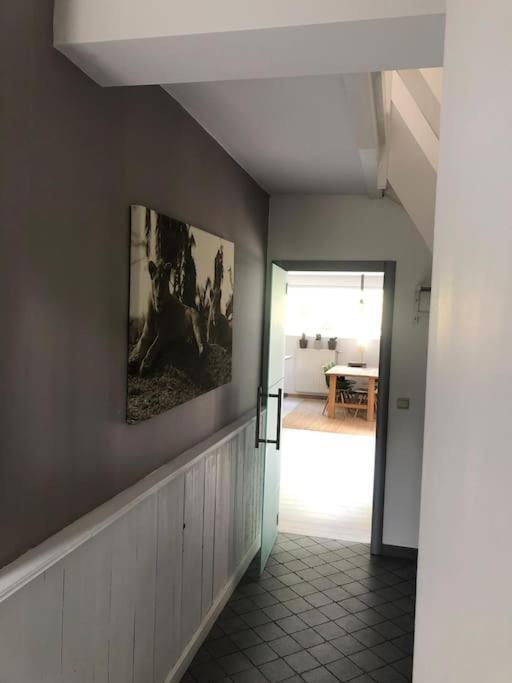 Grande Maison Cozy, Sud, 15 Min Spa Francorchamps Theux Eksteriør billede